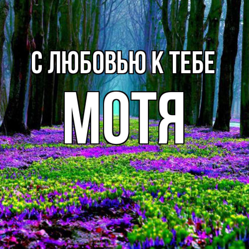 Открытка  с именем. Мотя, С любовью к тебе  