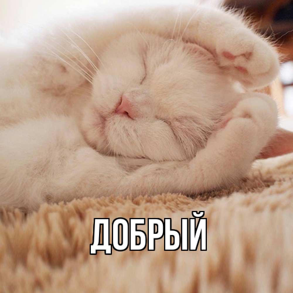 Открытка  с именем. Добрый, Главная  