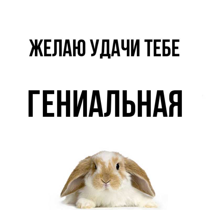 Картинка Желаю удачи тебе, Гениальная
