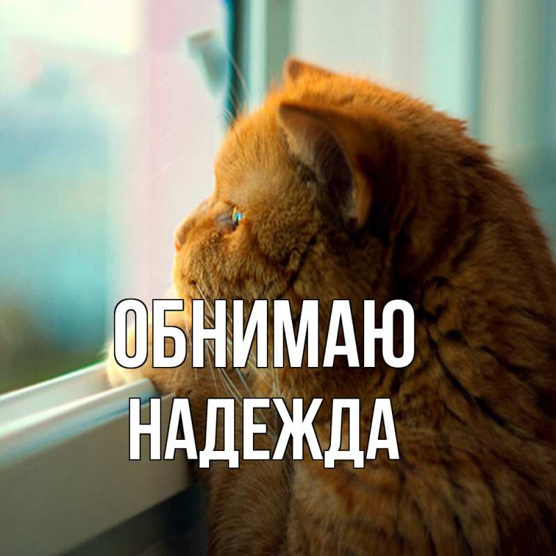 Картинка Обнимаю, Надежда