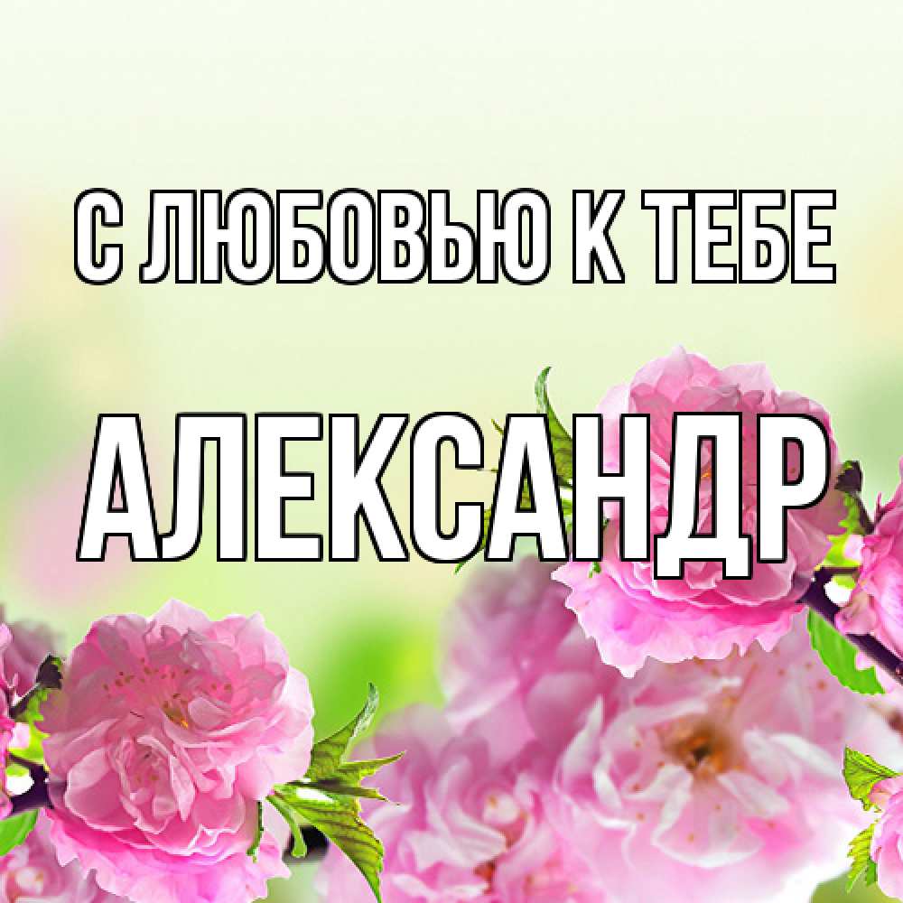 Открытка  с именем. Александр, С любовью к тебе  