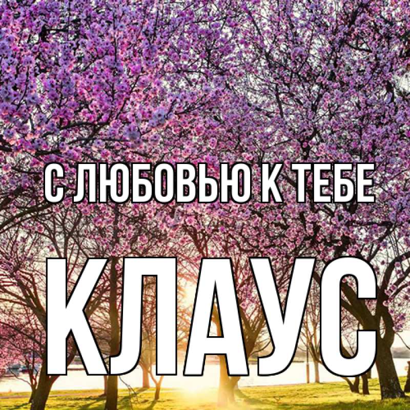Картинка С любовью к тебе, Клаус