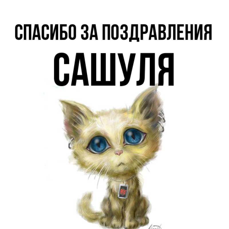 Картинка Спасибо за поздравления, Сашуля