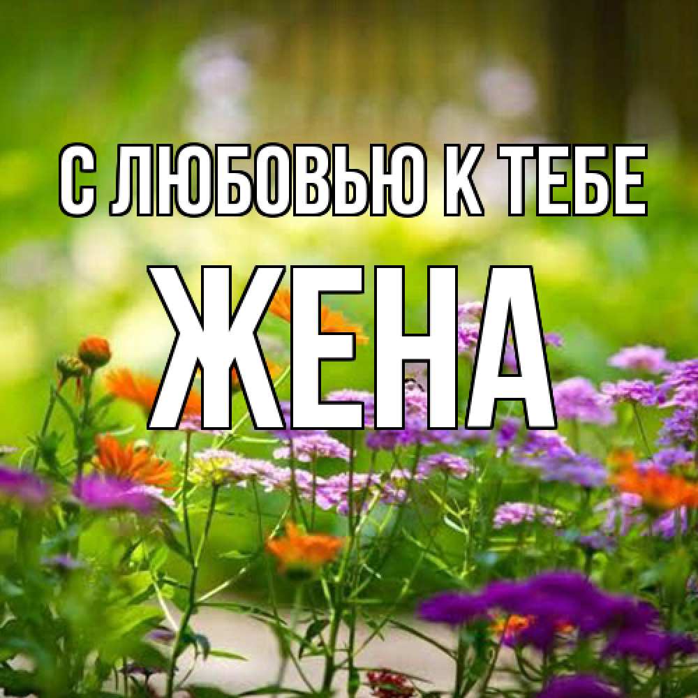 Открытка  с именем. Жена, С любовью к тебе  