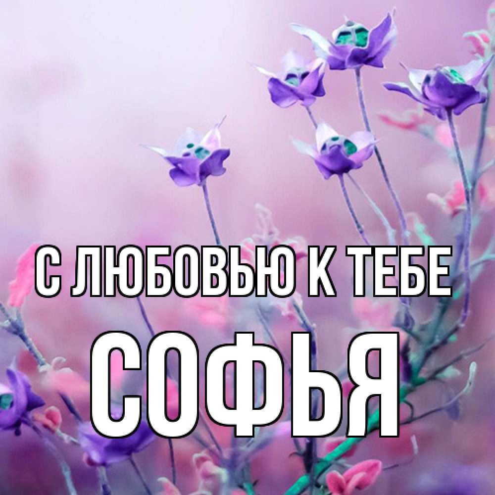 Открытка  с именем. Софья, С любовью к тебе  