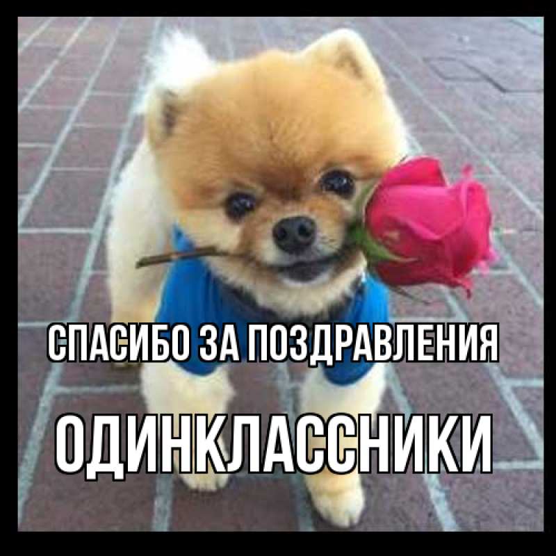 Открытка с именем, Одинклассники, Спасибо за поздравления