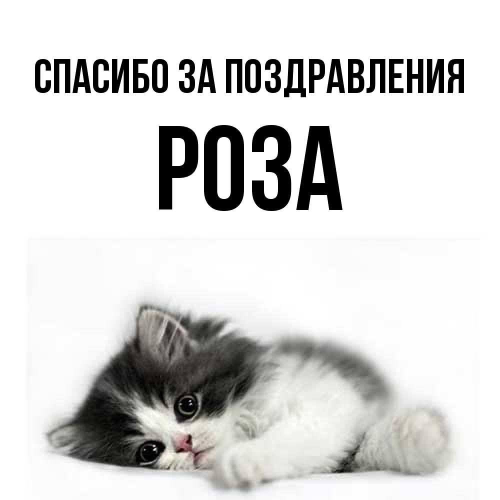Открытка  с именем. Роза, Спасибо за поздравления  