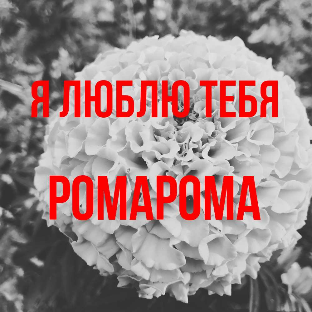 Открытка  с именем. РомаРома, Я люблю тебя  