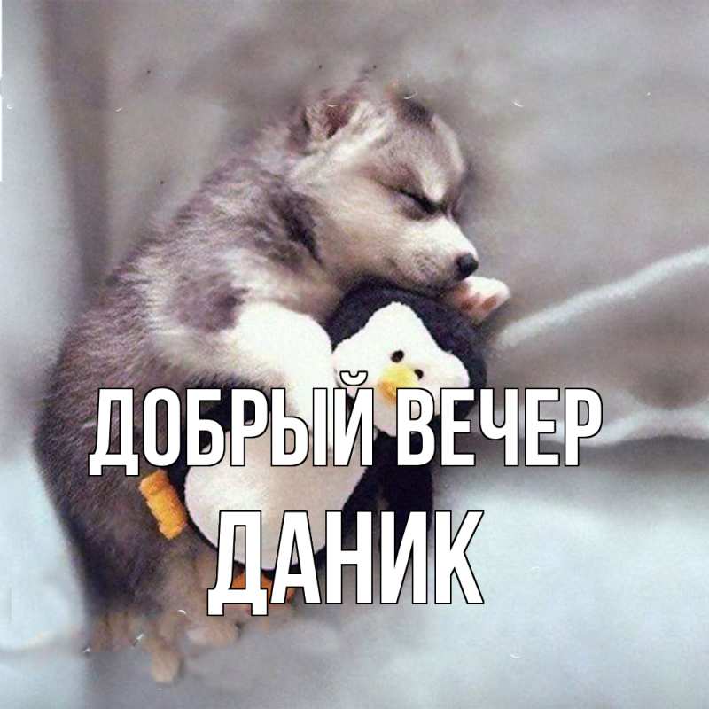 Картинка Добрый вечер, Даник