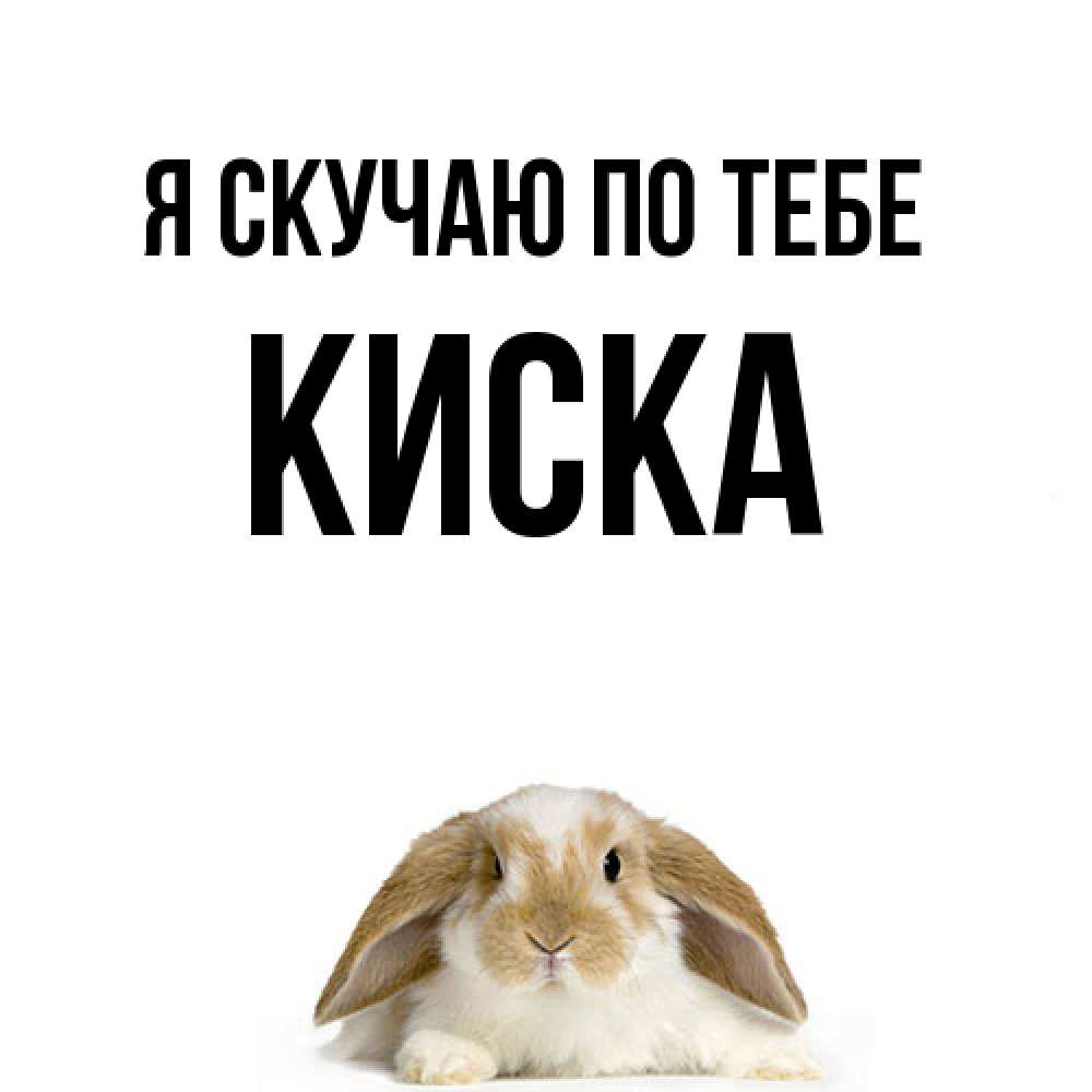 Открытка  с именем. Киска, Я скучаю по тебе  