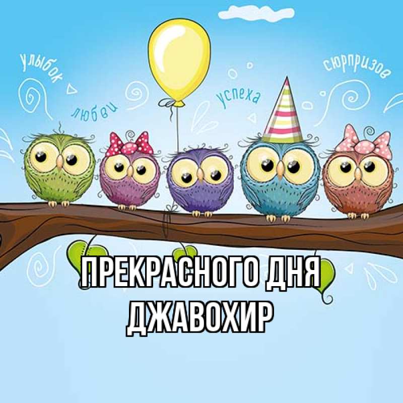 Картинка Прекрасного дня, Джавохир