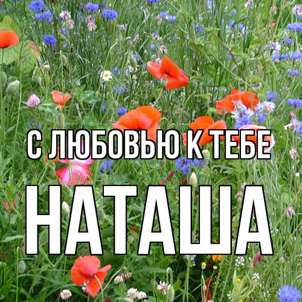 Открытка  с именем. Наташа, С любовью к тебе  