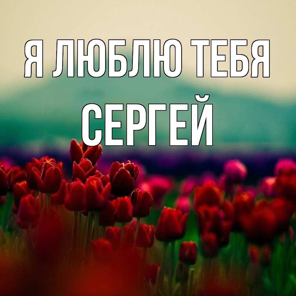 Открытка  с именем. Сергей, Я люблю тебя  