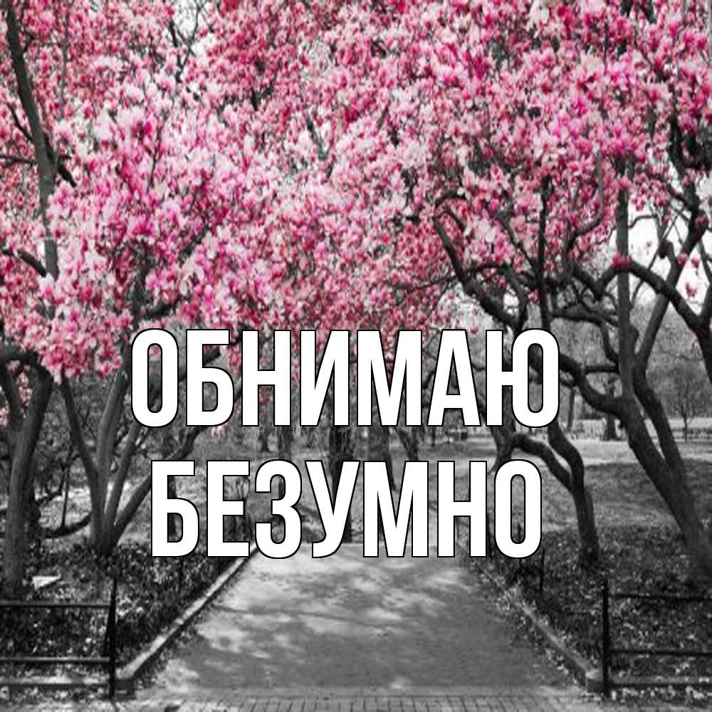 Открытка  с именем. Безумно, Обнимаю  