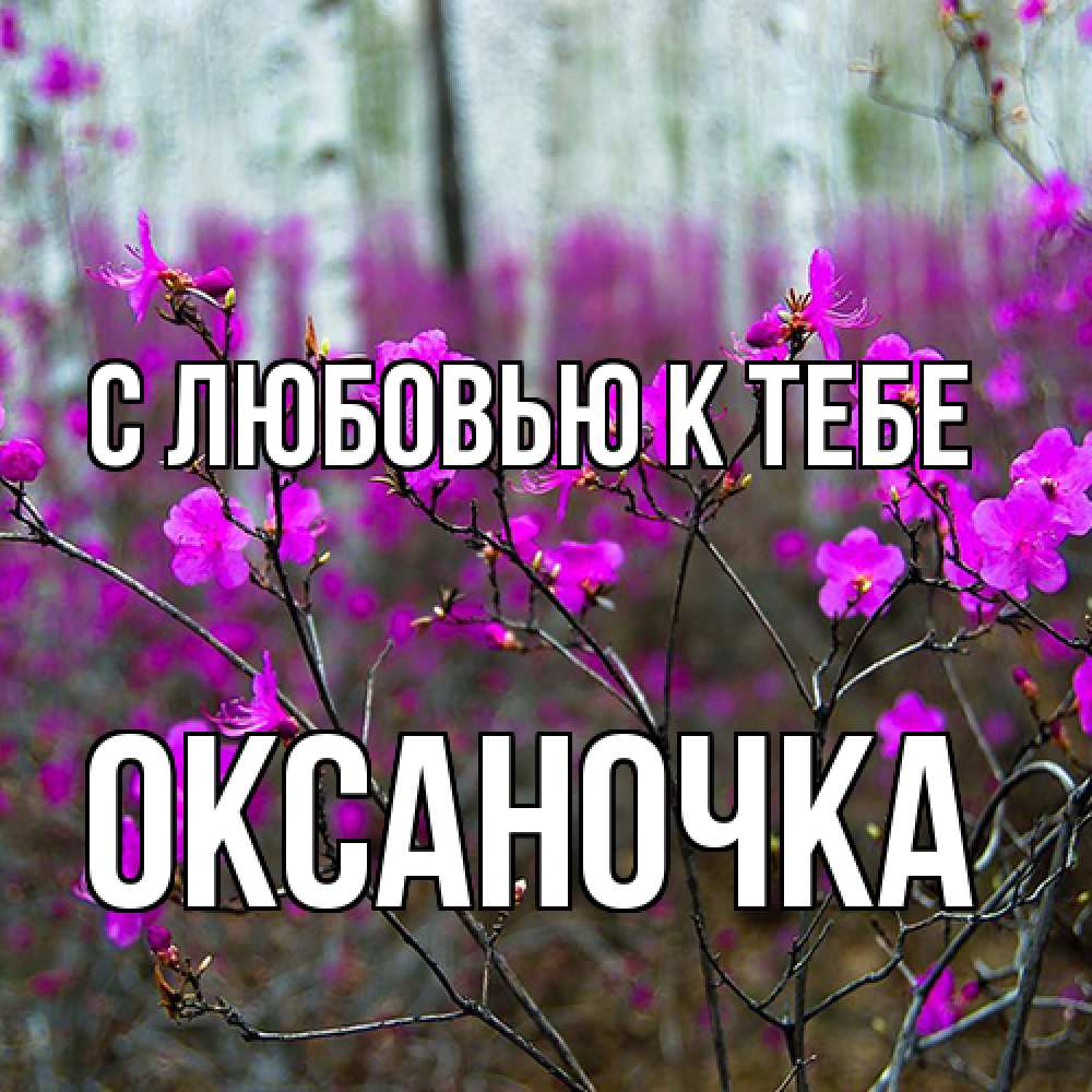 Открытка  с именем. ОКСАНОЧКА, С любовью к тебе  