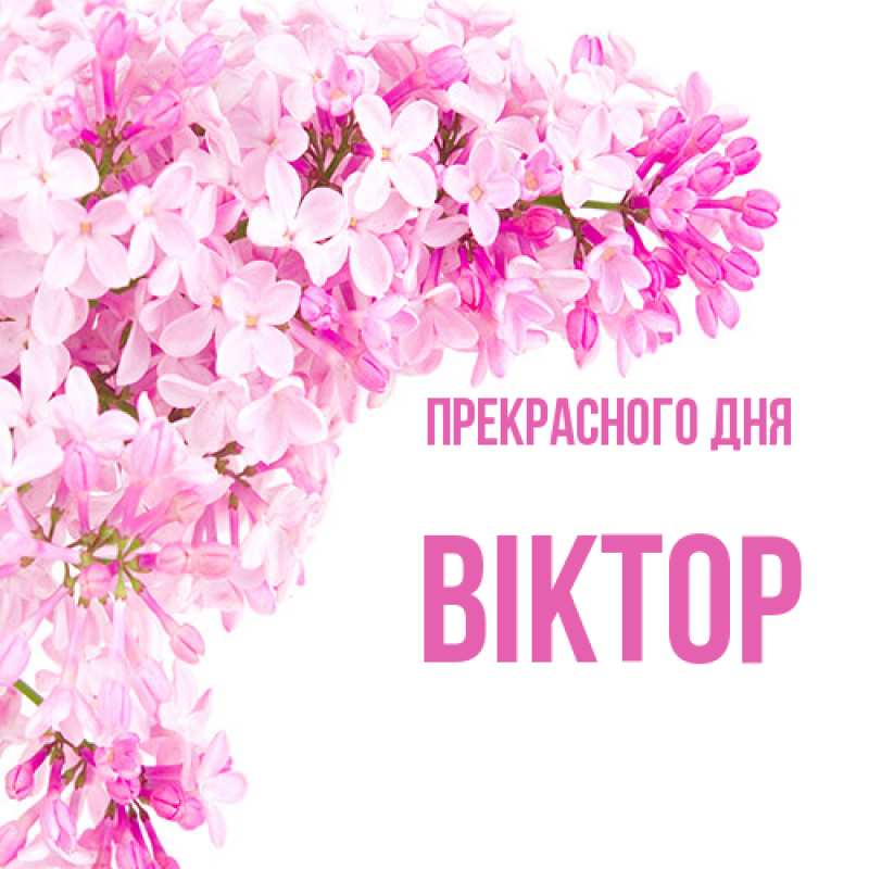 Картинка Прекрасного дня, Віктор