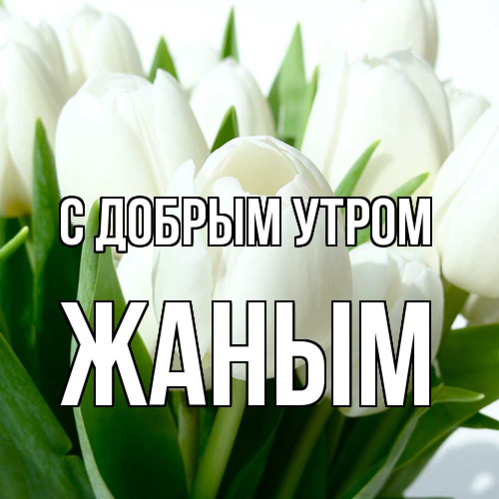 Открытка  с именем. Жаным, С добрым утром  