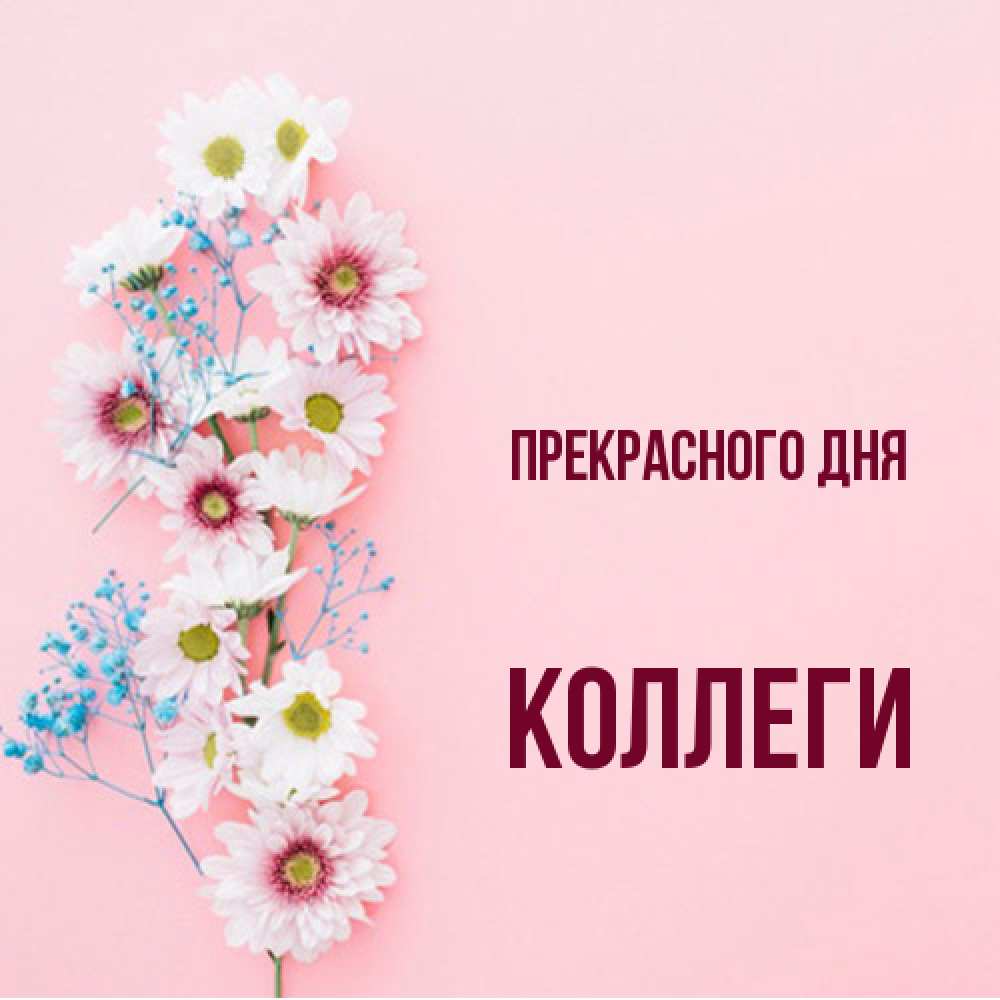 Открытка  с именем. коллеги, Прекрасного дня  