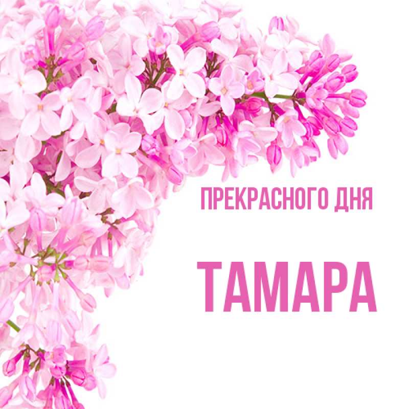 Картинка Прекрасного дня, Тамара