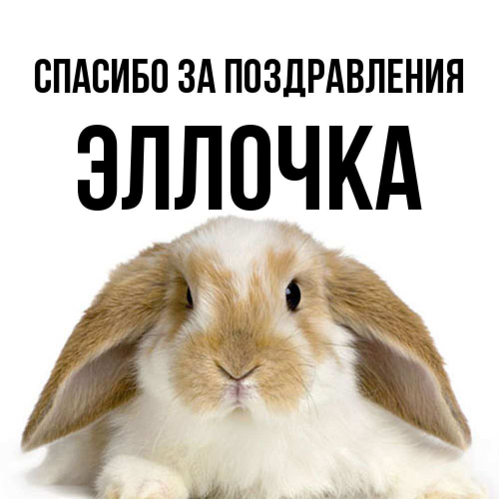 Открытка  с именем. Эллочка, Спасибо за поздравления  