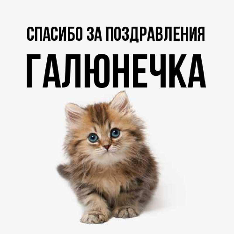 Картинка Спасибо за поздравления, Галюнечка