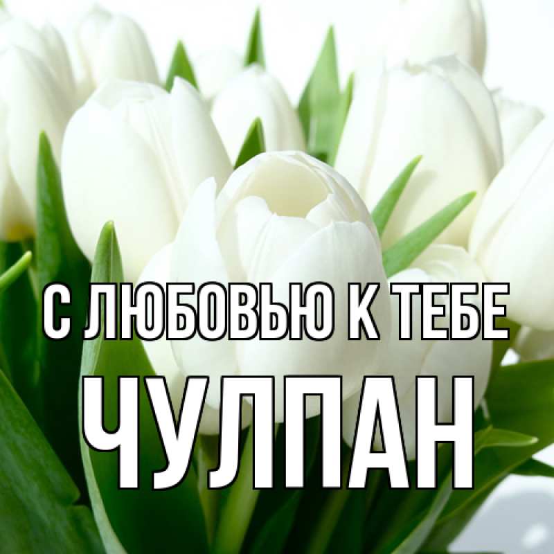 Картинка С любовью к тебе, Чулпан