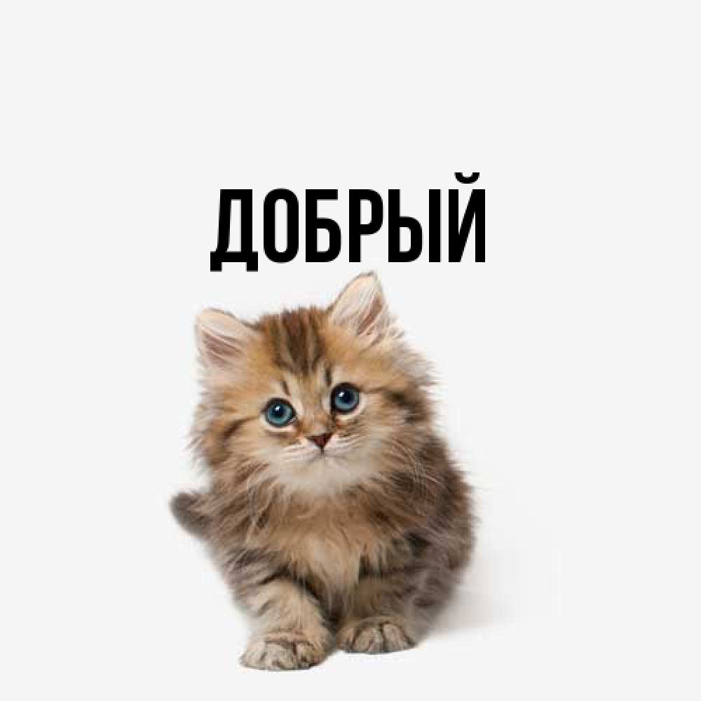 Открытка  с именем. Добрый, Главная  
