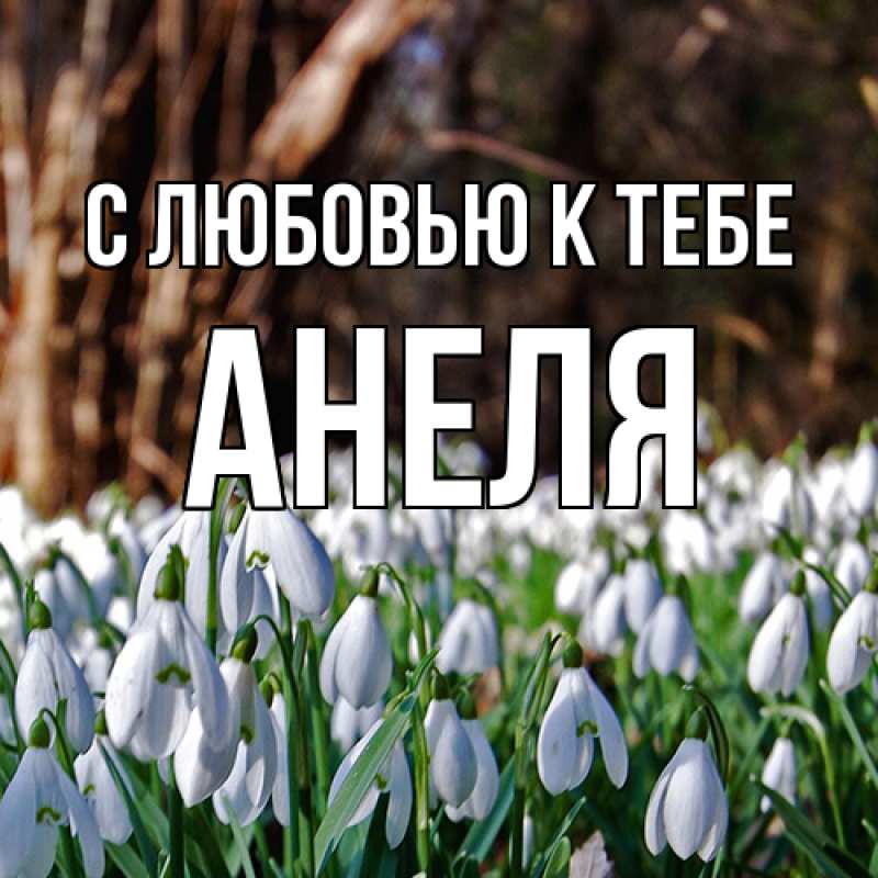 Картинка С любовью к тебе, Анеля