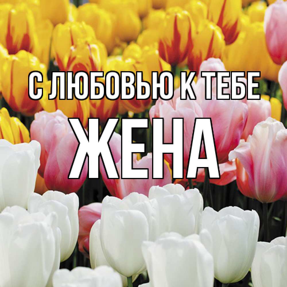 Открытка  с именем. Жена, С любовью к тебе  