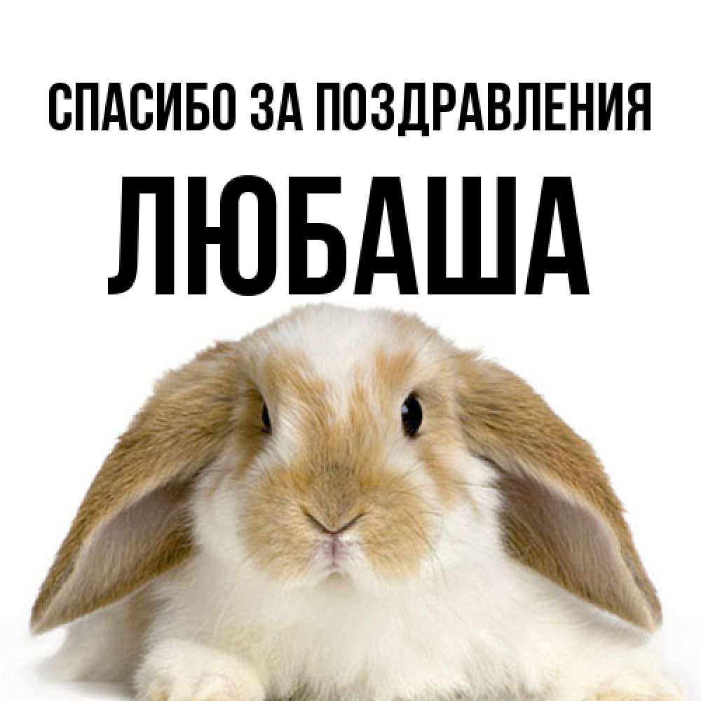 Открытка  с именем. ЛЮБАША, Спасибо за поздравления  