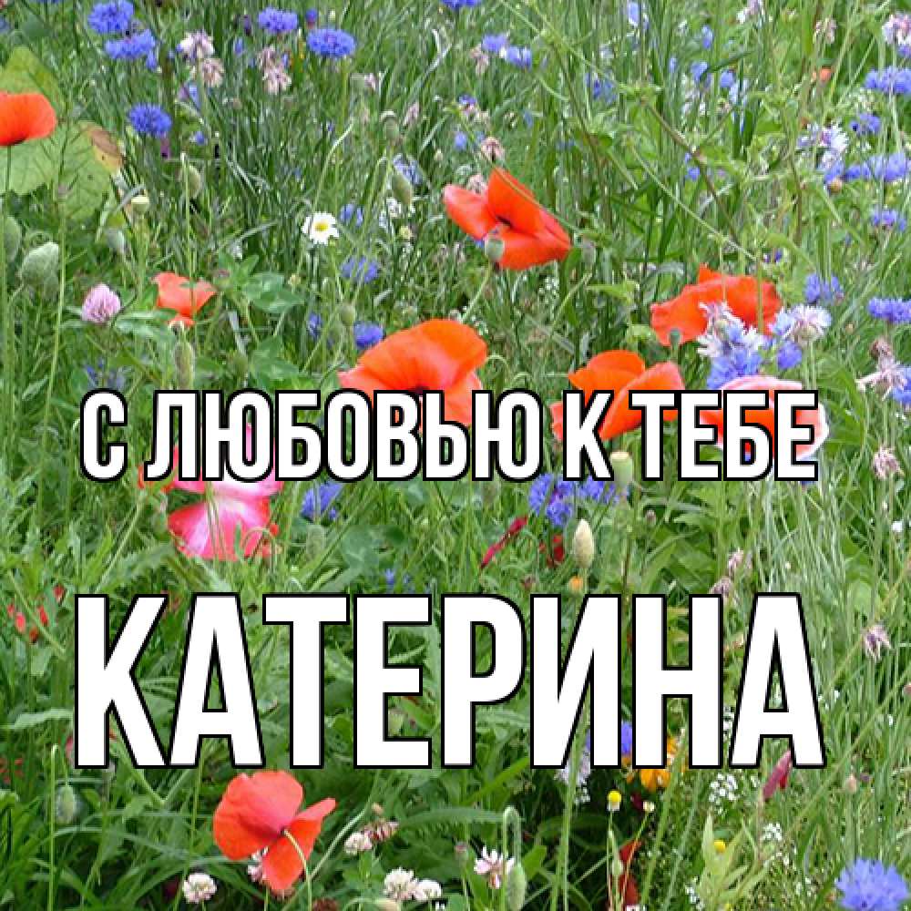 Открытка  с именем. Катерина, С любовью к тебе  