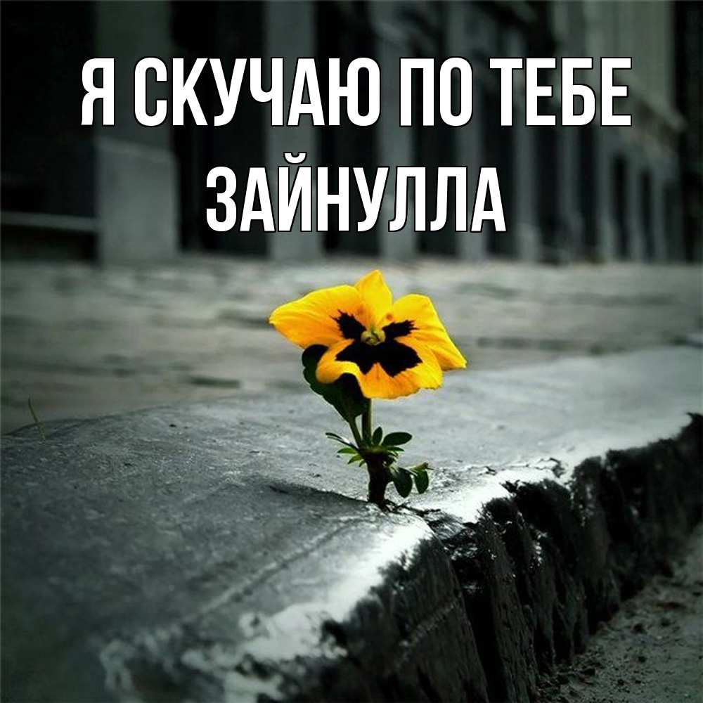 Открытка  с именем. Зайнулла, Я скучаю по тебе  