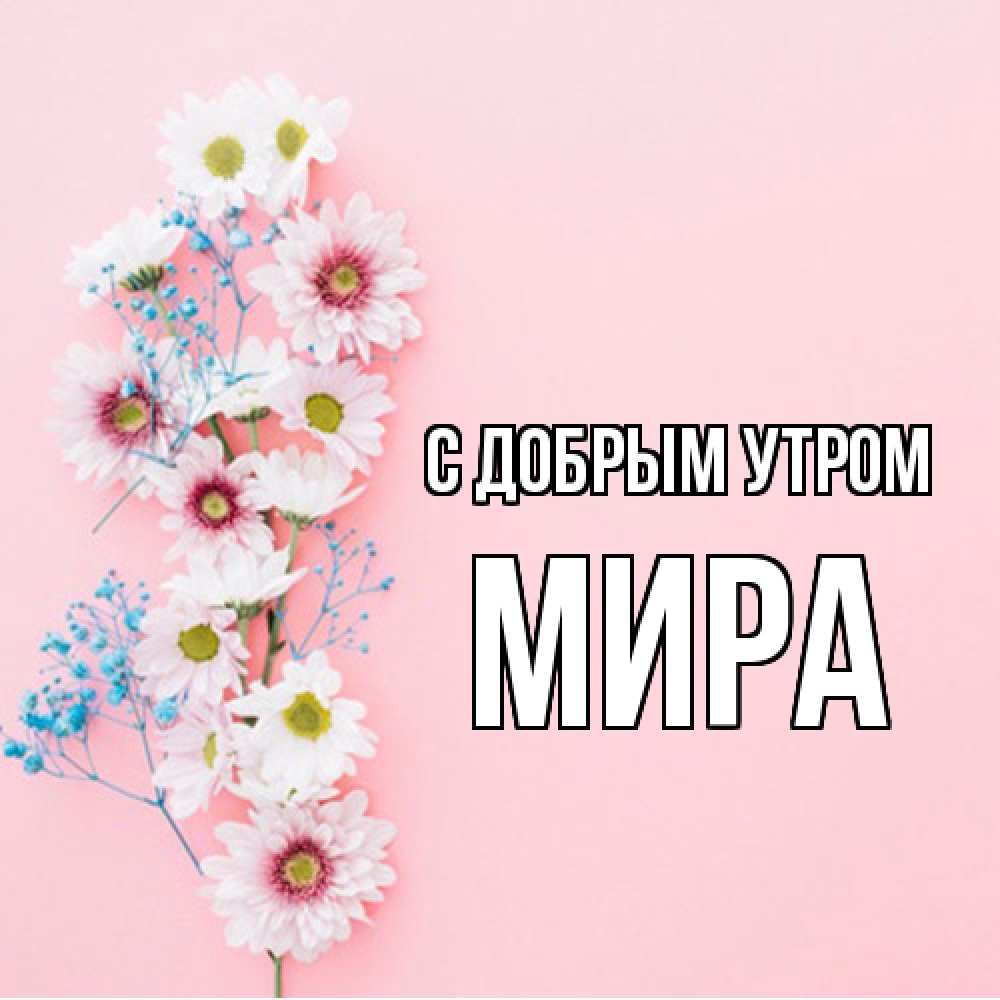 Открытка  с именем. Мира, С добрым утром  