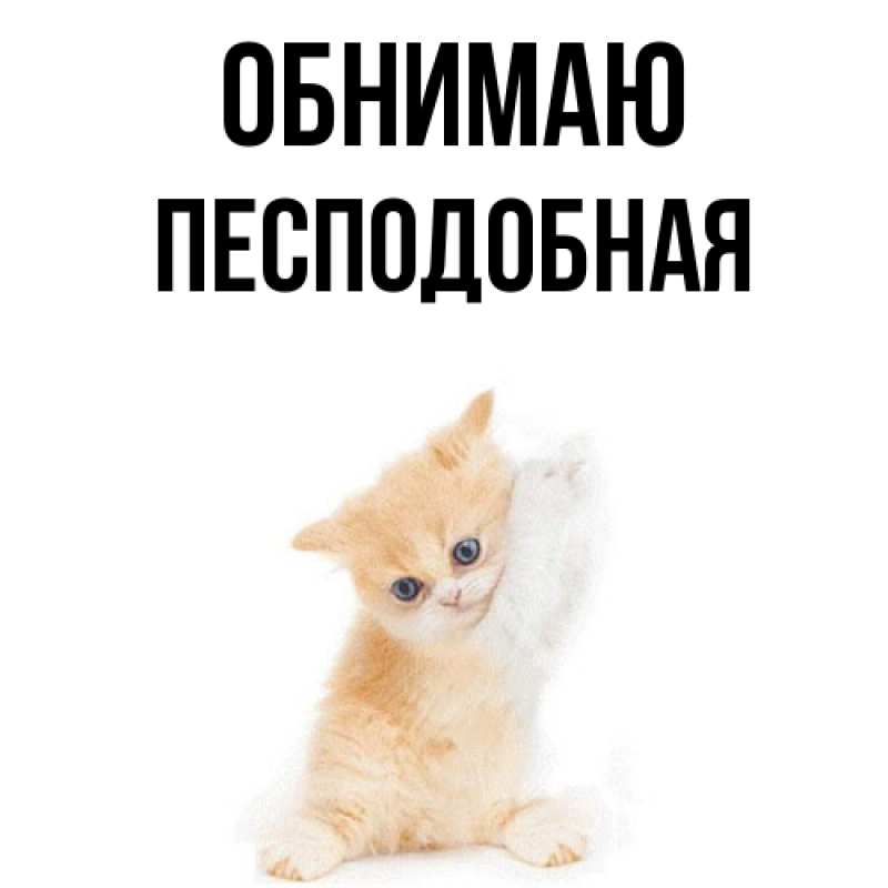 Картинка Обнимаю, Песподобная