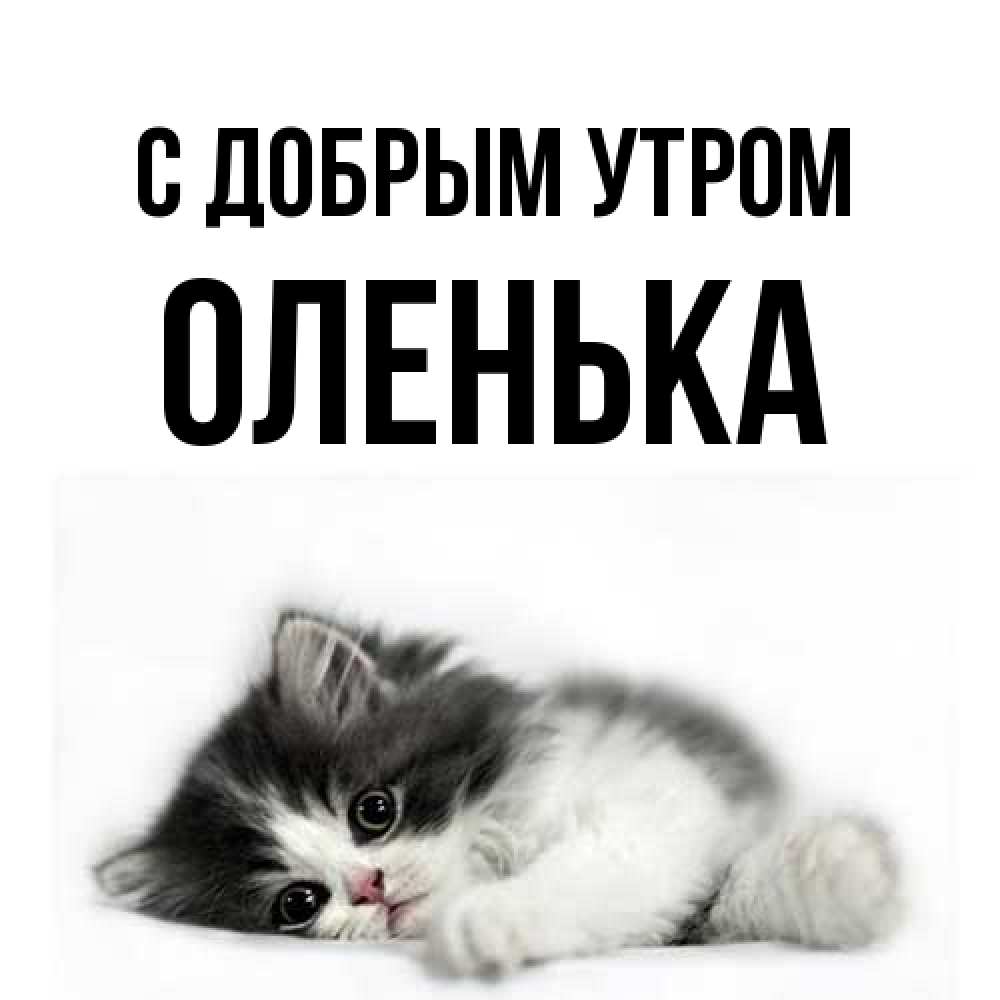 Открытка  с именем. Оленька, С добрым утром  