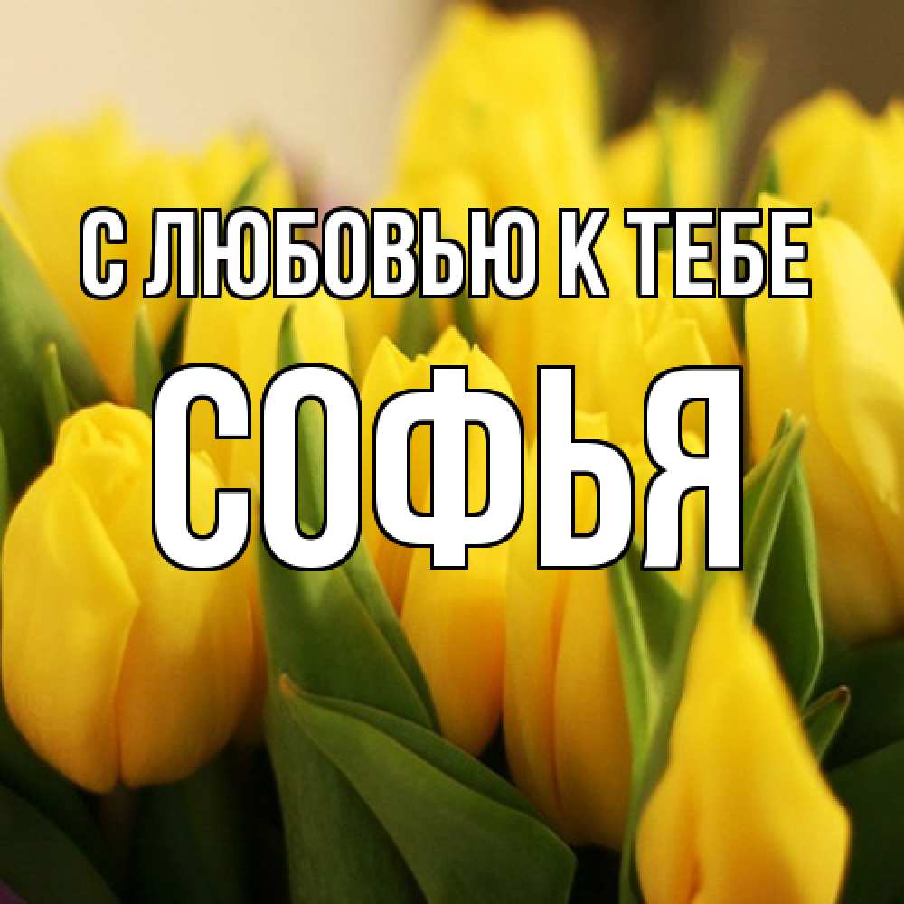 Открытка  с именем. Софья, С любовью к тебе  