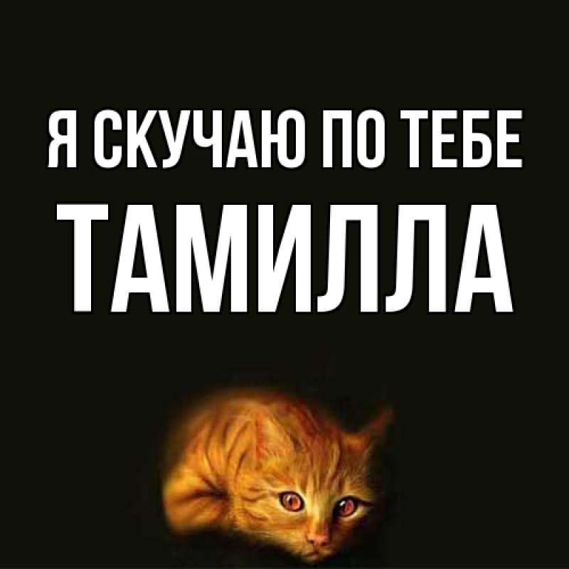 Картинка Я скучаю по тебе, Тамилла