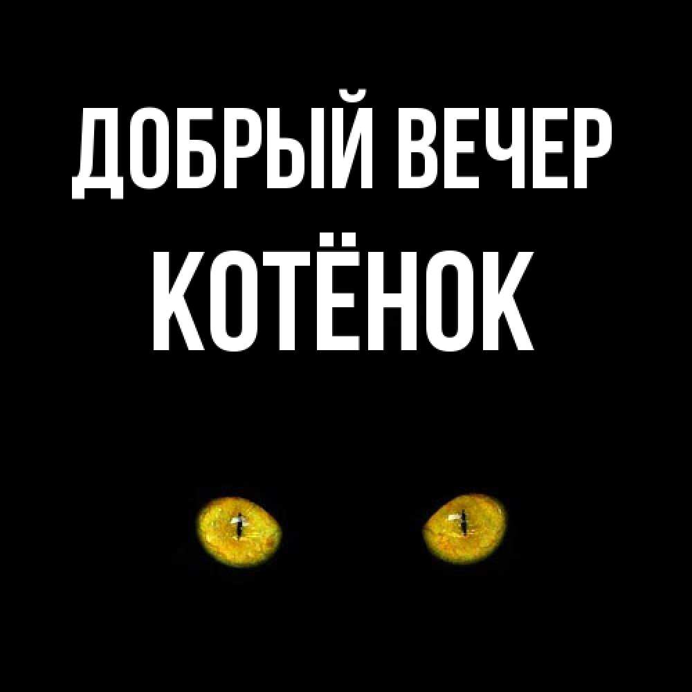 Открытка  с именем. Котёнок, Добрый вечер  