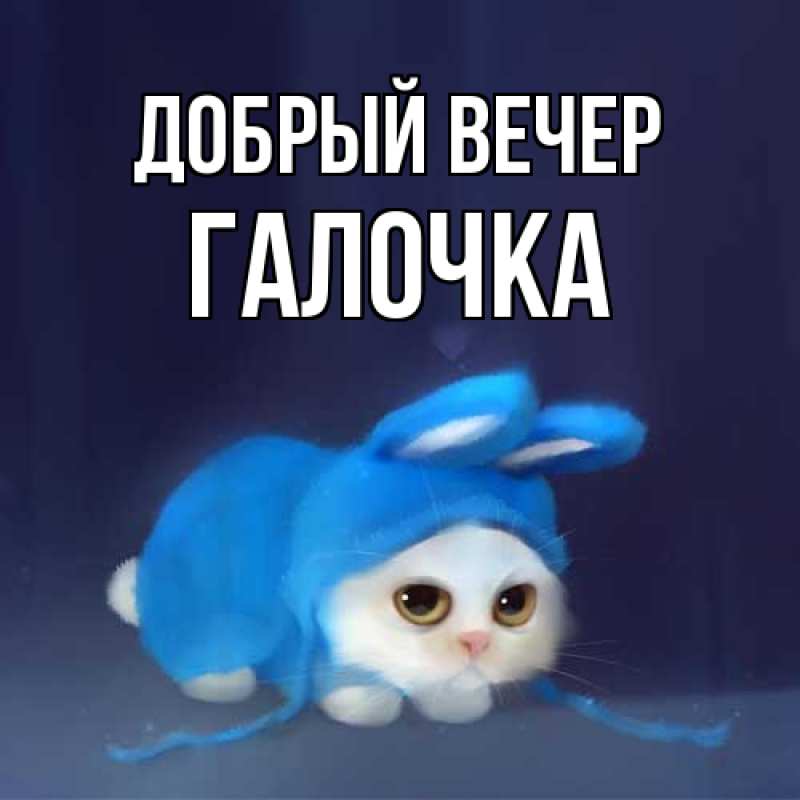 Картинка Добрый вечер, Галочка