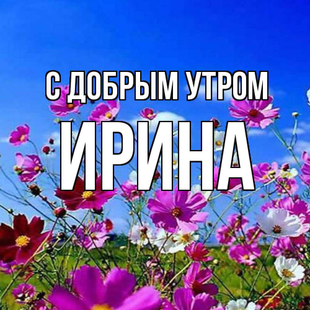Открытка  с именем. Ирина, С добрым утром  