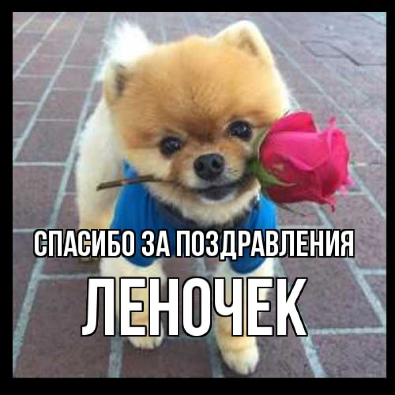 Картинка Спасибо за поздравления, леночек