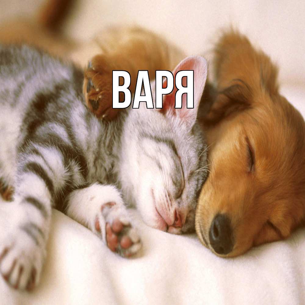 Открытка  с именем. варя, Главная  