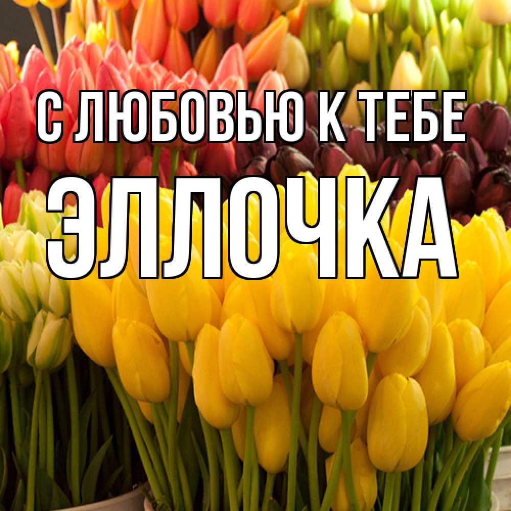 Открытка  с именем. Эллочка, С любовью к тебе  