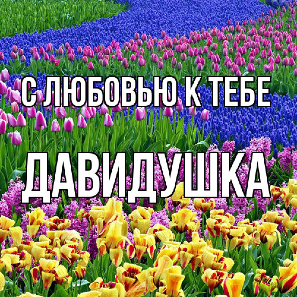 Открытка  с именем. Давидушка, С любовью к тебе  