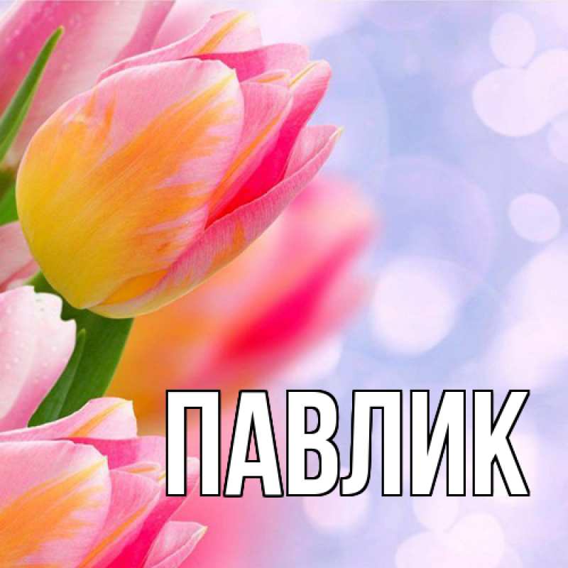 Картинка  с именем , Павлик