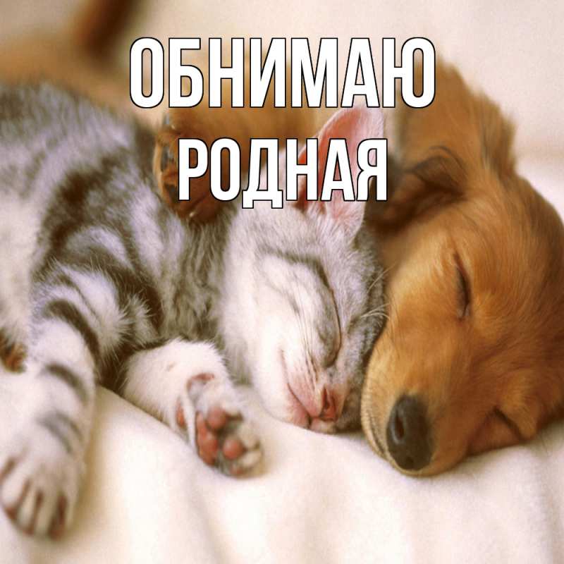 Картинка Обнимаю, Родная