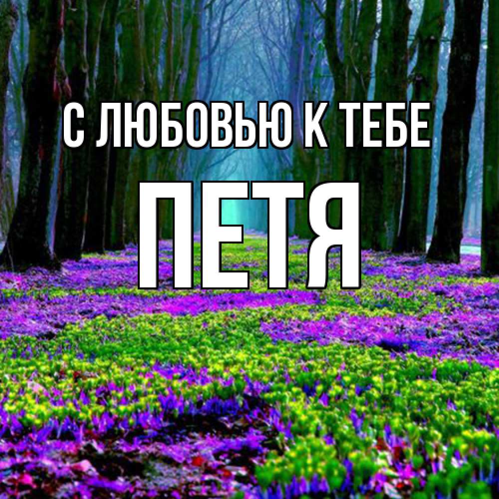 Открытка  с именем. Петя, С любовью к тебе  