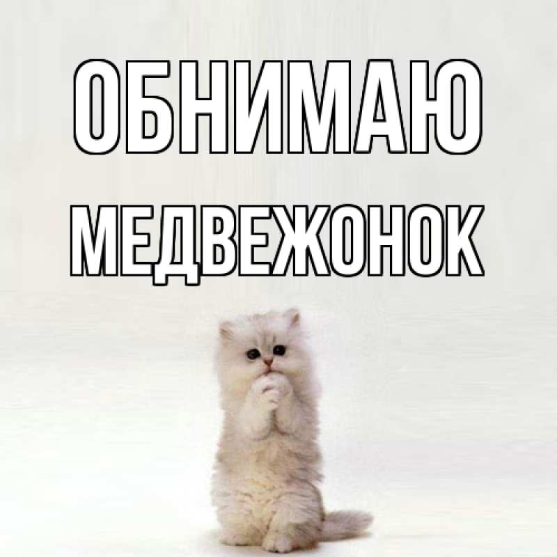 Картинка Обнимаю, Медвежонок