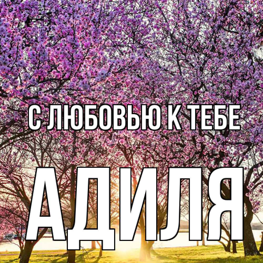 Открытка  с именем. Адиля, С любовью к тебе  