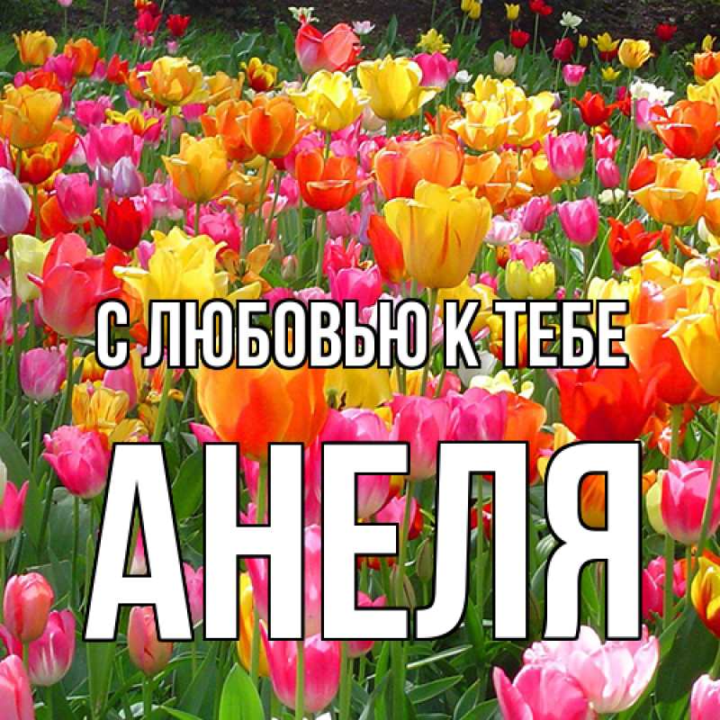Картинка С любовью к тебе, Анеля